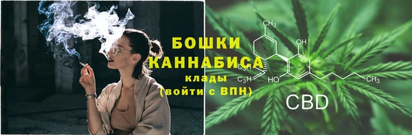 прущие крисы Арсеньев