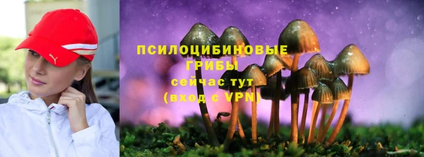 амф Армянск