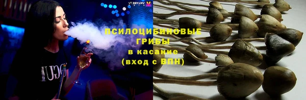 прущие крисы Арсеньев