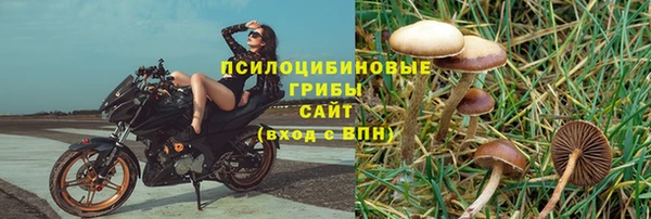 амф Армянск