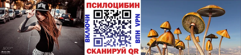 где можно купить наркотик  Темрюк  гидра ССЫЛКА  Галлюциногенные грибы Psilocybe 