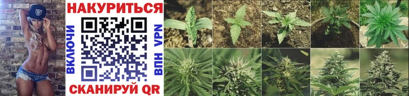 Канабис OG Kush Темрюк