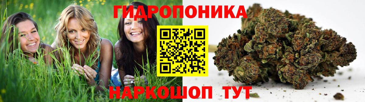 Шишки марихуана сатива Темрюк